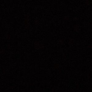 Meet your Posher, Scarlett